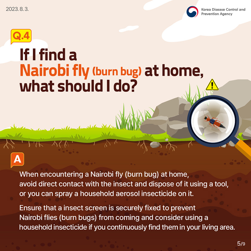 Q4. If I find a Nairobi fly (burn bug) at home, what should I do? When encountering a Nairobi fly (burn bug) at home, avoid direct contact with the insect and dispose of it using a tool, or you can spray a household aerosol insecticide on it. Ensure that a insect screen is securely fixed to prevent Nairobi flies (burn bugs) from coming and consider using a household insecticide if you continuously find them in your living area.